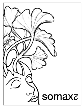 somax_logo